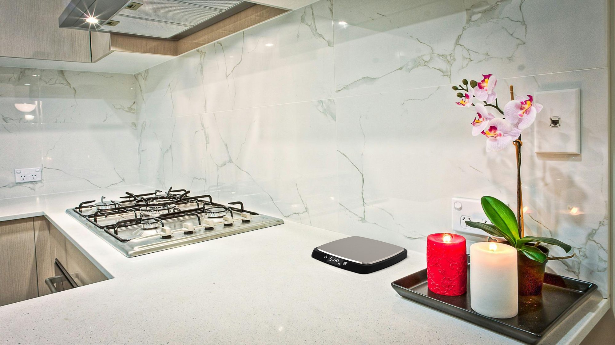 Pluto on a marble kitchen counter beside a gas hob, orchid and candles