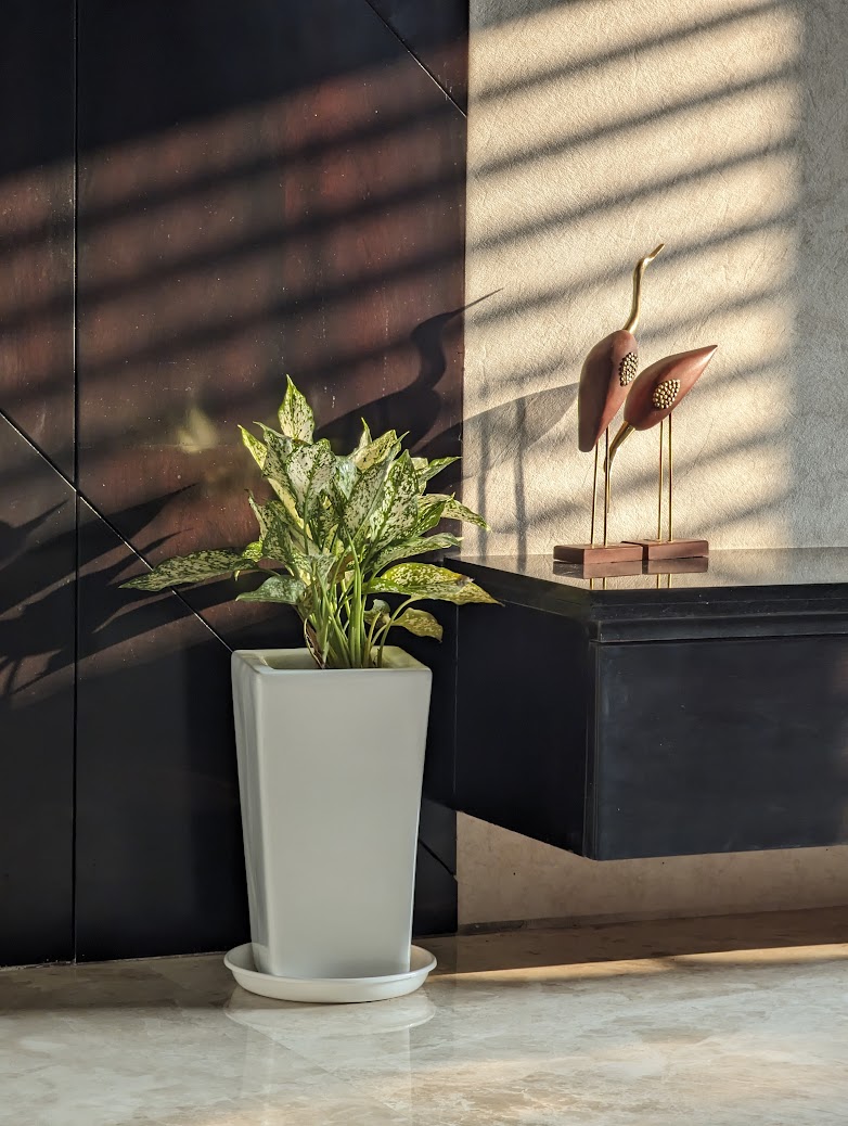 Entryway as built - potted plant and bird sculptures on a console in raking sunlight